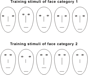 ;  ;   ; 
   ; , , , , , , 
   ,     ; ;  . 
Physiognomy; features; reading on the fase; elements of external shape of the person; 
a forehead, a nose, cheekbones, a chin, eyebrowes, ears, 
height and focus of eyes, elongation of the fase and an arrangement of a mouth; 
an identikit; a secret of perception.